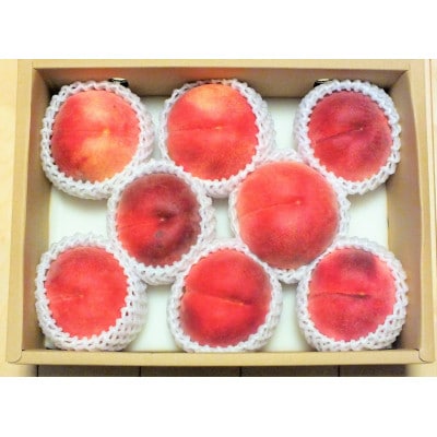 【発送月固定定期便】6月佐藤錦さくらんぼ　8月桃　10月シャインマスカット【令和8年発送】全3回