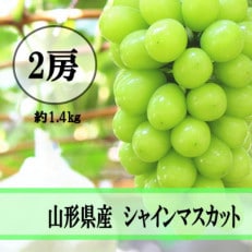 令和6年産先行受付 山形県産 シャインマスカット 2房(約1.4kg)