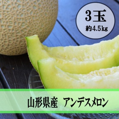 令和6年産先行受付 山形県産　庄内アンデスメロン　3玉(約4.5kg)