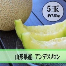 令和6年産先行受付 山形県産 庄内アンデスメロン 5玉(約7.5kg)