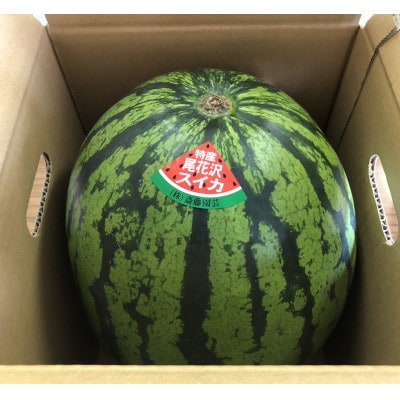 令和7年産先行受付 山形県産 尾花沢すいか 1玉(約7～8kg)