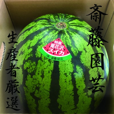 【先行受付】令和8年産 山形県産 すいか 1玉