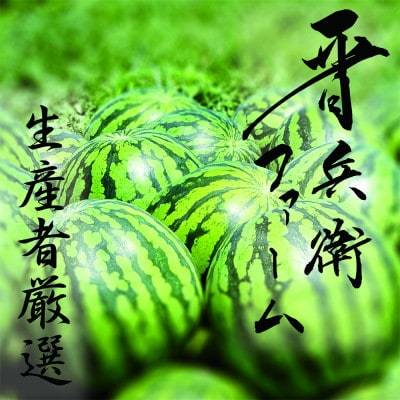 【先行受付】令和8年産 山形県産 すいか 1玉