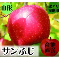 令和6年産先行受付 山形県産 【訳アリ】サンふじ(りんご) 約3kg(8～12玉)