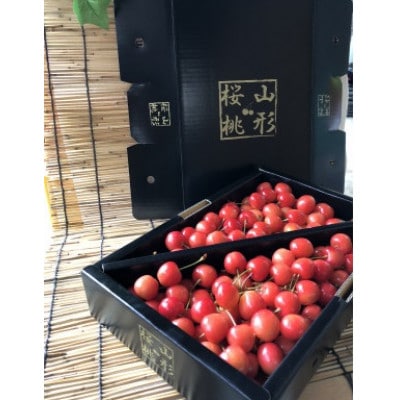 令和7年産先行受付　秀以上　 山形県産 さくらんぼ(佐藤錦)　1kg Lサイズ以上　バラ
