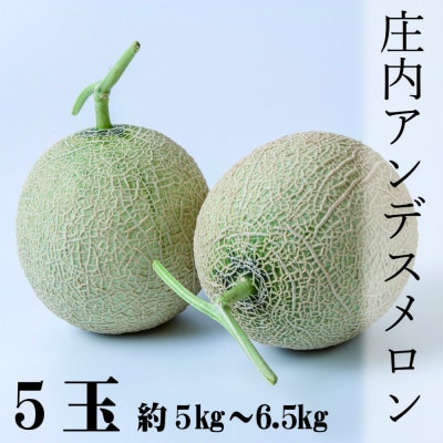 【令和7年産先行受付】 山形県産　庄内アンデスメロン　5玉(約5～6.5kg)