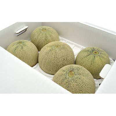 【令和7年産先行受付】 山形県産　庄内アンデスメロン　5玉(約5～6.5kg)
