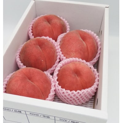 令和7年産先行受付 山形県産　白桃(おどろき)　農家直送　厳選大玉 2kg　秀品