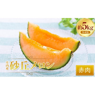 山形県産砂丘メロン(赤肉)約5kg