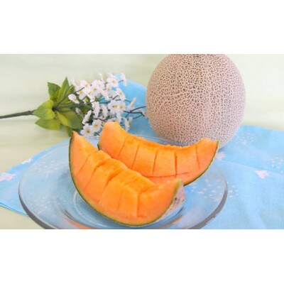 山形県産砂丘メロン(赤肉)約5kg