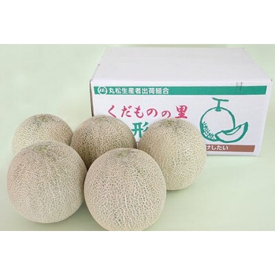 山形県産砂丘メロン(赤肉)約5kg
