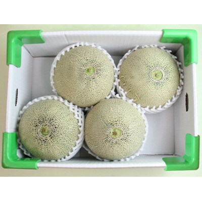 山形県産砂丘メロン(赤肉)約5kg