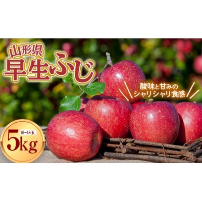 【2025年度発送】山形県産 早生ふじ りんご 約5kg デザートに!