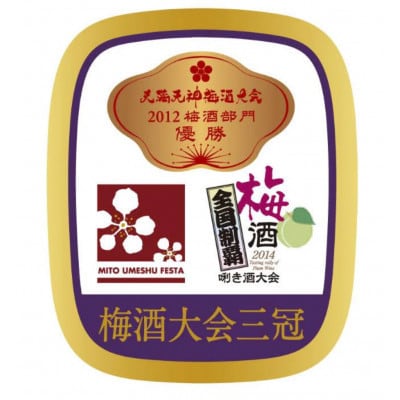 3本セット　梅酒大会三冠、華やかで鮮明な薫り、濃密な味わい　東光 吟醸梅酒　1800ml　