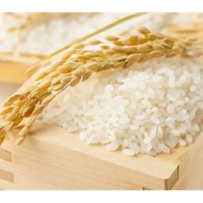 山形ブランド米ちょっと食べ比べ 各2kg×3品種