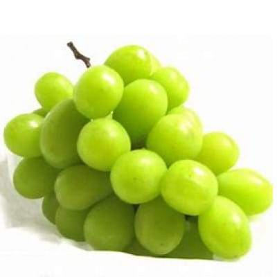 【令和6年産先行受付】 山形県産シャインマスカット 約1.2kg (2房)