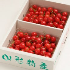 【令和6年産・先行受付】さくらんぼ佐藤錦  秀Lサイズ 700gバラ詰め(350g×2パック) | ふるさと納税のお礼品