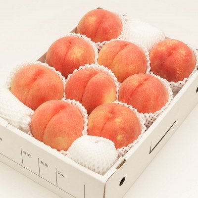 【令和6年産先行受付】山形県産白桃 約3kg(品種おまかせ 7～12玉)