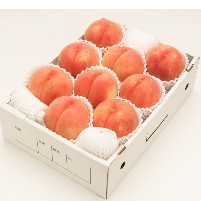 【令和7年産先行予約】柔らかめ白桃 約3kg(品種おまかせ7～12玉入)