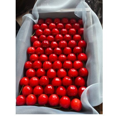 【令和7年産先行予約】石垣化粧詰め さくらんぼ佐藤錦 秀L以上 1kg