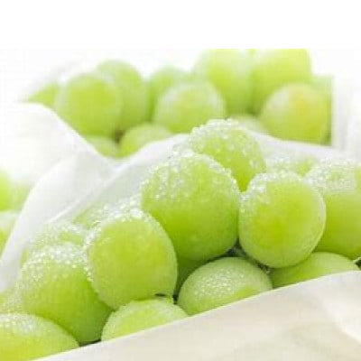 【令和7年産先行予約】山形県産シャインマスカット 約1.2kg(2房入)