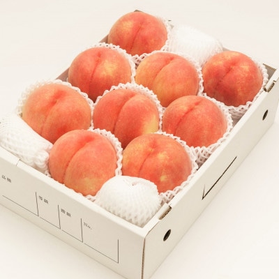 【令和7年産先行予約】かための白桃 約3kg(品種おまかせ7～12玉入)
