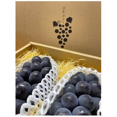 【2026年産先行予約】採れたて! 大粒ぶどう「藤稔」1.8kg(3～4房)