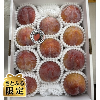 【さとふる限定】【2026年産先行予約】すもも「秋姫」秀品2kg(11玉～13玉入り)