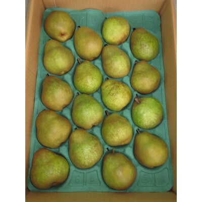 ラ・フランス　5kg　2L～3Lサイズ　16～18玉入　山形県産
