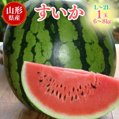 【先行予約】令和9年産　スイカ(L～2L)6～8kg　1玉入　山形県産