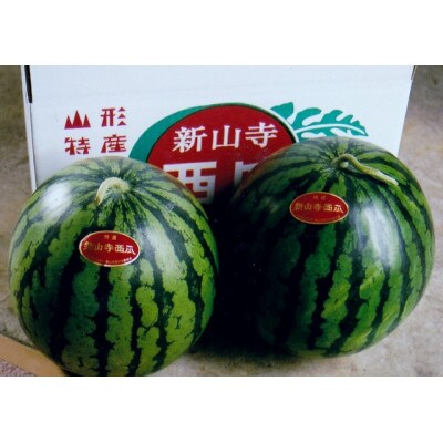 【先行予約】令和9年産　スイカ(4～5Lサイズ)9～10kg　2玉入　山形県産