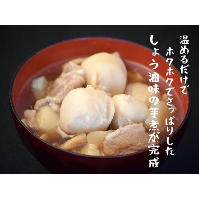 山形の秋の風物詩『いも煮会』　山形のいも煮2人前(460g)×2袋　【簡易包装】