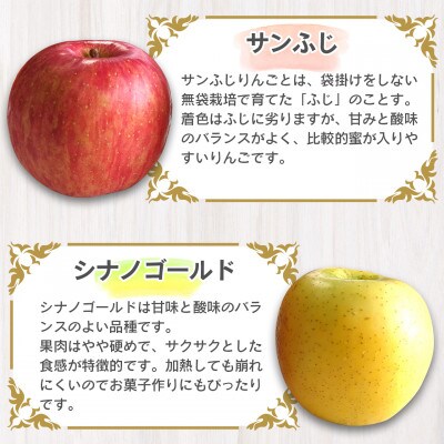 【2023年産・先行受付】山形県産 りんご2種セット(サンふじ シナノゴールド) 3kg