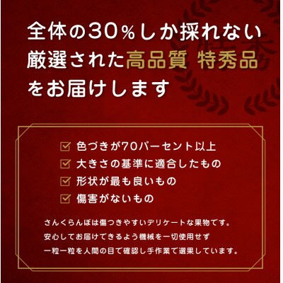 2025年産 さくらんぼ「佐藤錦」600g 特秀品 Lサイズ以上 山形県産 k-01