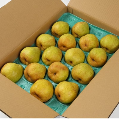2025年先行受付【GI登録品】特秀品「ラ・フランス」5kg(12～20玉) 化粧箱入