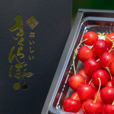 【2026年先行予約】さくらんぼ「 佐藤錦 」300g 特秀品 L以上 (300g×1箱) 山形県産