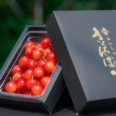 【2026年先行予約】さくらんぼ「 佐藤錦 」 300g 秀品 L以上 (300g×1箱) 山形県産