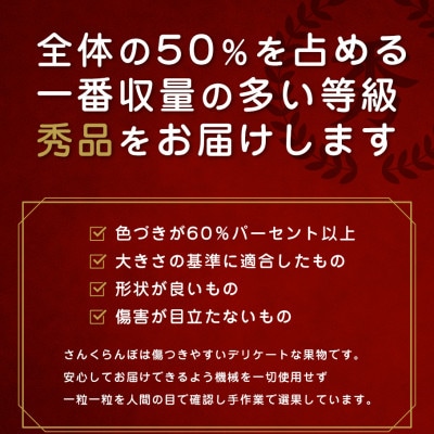【2026年先行予約】さくらんぼ「 佐藤錦 」 300g 秀品 L以上 (300g×1箱) 山形県産