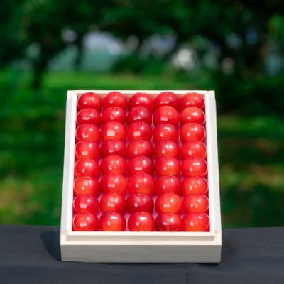 2026年産 さくらんぼ 「 紅秀峰 」 300g 特秀品 2Lサイズ <桐箱入り> 山形県産
