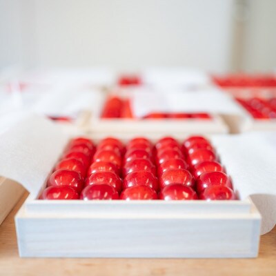 2026年産 さくらんぼ 「 紅秀峰 」 300g 特秀品 2Lサイズ <桐箱入り> 山形県産