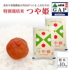 特選うどん 200g×24袋(48人前) | お礼品詳細 | ふるさと納税なら「さと
