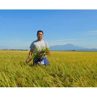 【受付】つや姫10kg　精米　令和5年産 農家直送