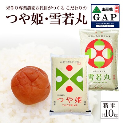 【受付】「特A」セット　特別栽培米つや姫と雪若丸各5Kg精米　令和5年産　農家直送　