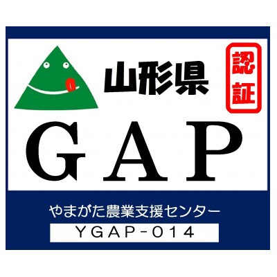 【受付】「特A」セット　特別栽培米つや姫と雪若丸各5Kg精米　令和5年産　農家直送　