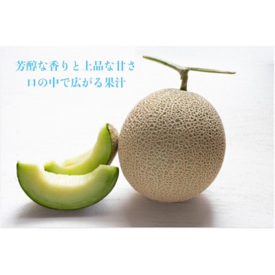 【先行受付2025年9月発送】山形県知事賞受賞農園　山形県産アールスメロン化粧箱約3kg以上(2玉)