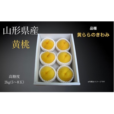 山形県産　黄桃(黄ららのきわみ)化粧箱入り　秀品　約2kg(5～8玉)【先行受付令和7年9月発送】