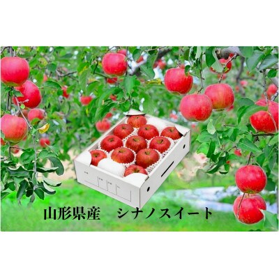【先行受付2024年10月発送】山形県産　りんご(シナノスイート)化粧箱入り　約3kg(8～11玉)