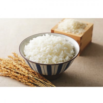 特別栽培米つや姫 精米 5kg 山形県産〈令和6年産〉