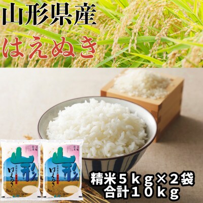 山形県産 はえぬき 精米 10kg【令和6年産】