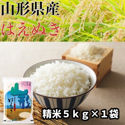 山形県産 はえぬき 精米 5kg【令和6年産】
